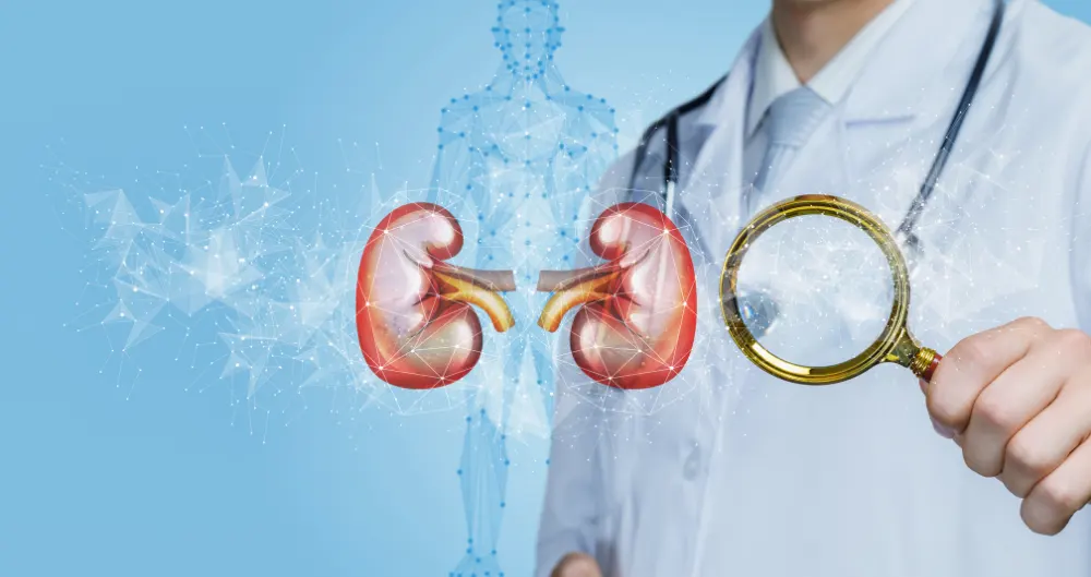 GXG kidney post banners