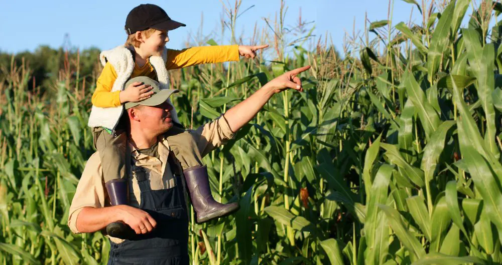 How Technology is Revolutionizing Rural Healthcare Through CCM and RPM